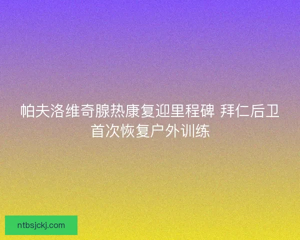 帕夫洛维奇腺热康复迎里程碑 拜仁后卫首次恢复户外训练