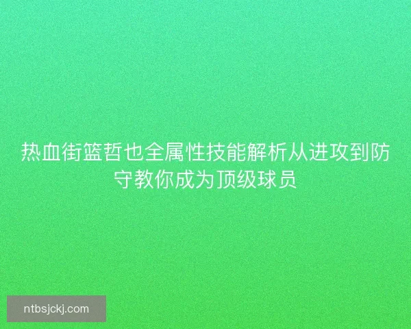 热血街篮哲也全属性技能解析从进攻到防守教你成为顶级球员 热血街篮哲也全属性技能解析从进攻到防守教你成为顶级球员
