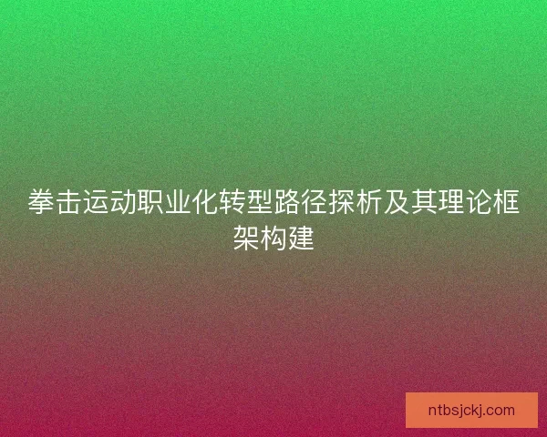 拳击运动职业化转型路径探析及其理论框架构建 拳击运动职业化转型路径探析及其理论框架构建