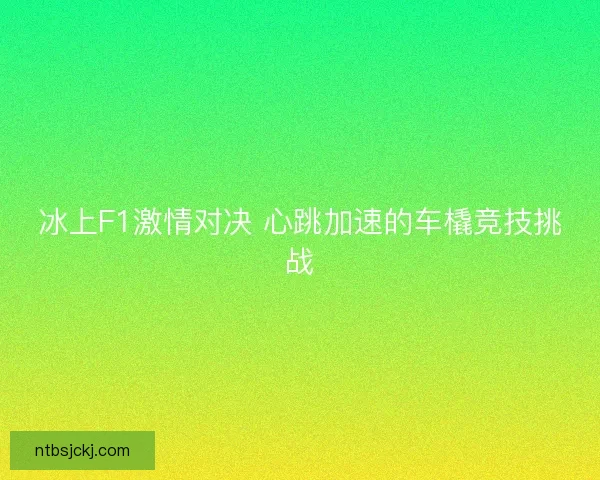 冰上F1激情对决 心跳加速的车橇竞技挑战