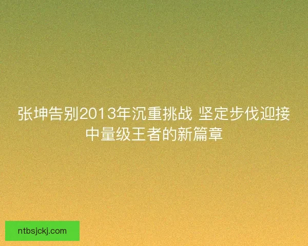 张坤告别2013年沉重挑战 坚定步伐迎接中量级王者的新篇章 张坤告别2013年沉重挑战 坚定步伐迎接中量级王者的新篇章
