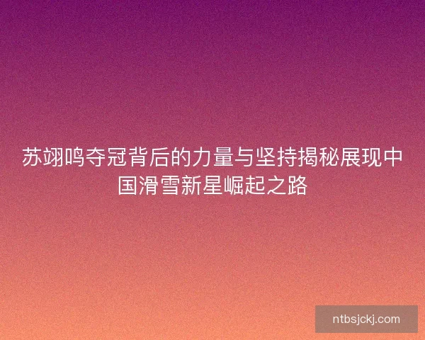 苏翊鸣夺冠背后的力量与坚持揭秘展现中国滑雪新星崛起之路