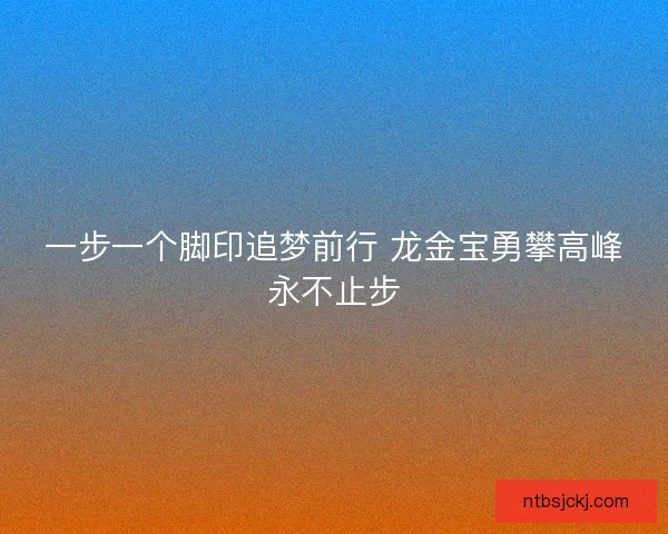 一步一个脚印追梦前行 龙金宝勇攀高峰永不止步