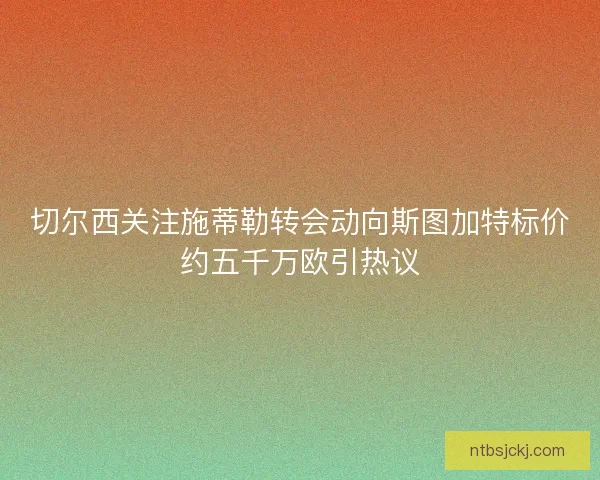 切尔西关注施蒂勒转会动向斯图加特标价约五千万欧引热议